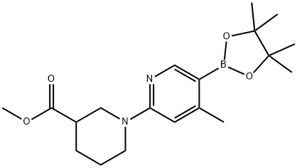 Methyl 1-(4-Methyl-5-(4,4,5,5-tetraMethyl-1,3,2-dioxaborolan-2-yl)pyridin-2-yl)piperidine-3-carboxylate 结构式