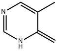 Pyrimidine, 1,4-dihydro-5-methyl-4-methylene- (9CI) 结构式