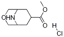 3-Oxa-9-aza-bicyclo[3.3.1]nonane-7-carboxylic acid Methyl ester hydrochloride 结构式