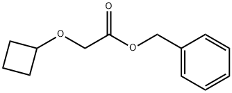 2-环丁氧基乙酸苄酯 结构式