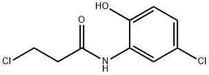 3-Chloro-N-(5-chloro-2-hydroxyphenyl)propanamide 结构式