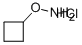 邻环丁基羟胺盐酸盐 结构式
