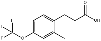 3-[2-Methyl-4-(trifluoromethoxy)phenyl]propionicacid 结构式