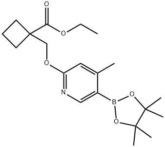 ethyl 1-(((4-Methyl-5-(4,4,5,5-tetraMethyl-1,3,2-dioxaborolan-2-yl)pyridin-2-yl)oxy)Methyl)cyclobutanecarboxylate 结构式