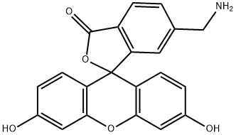 6-(aminomethyl)fluorescein 结构式