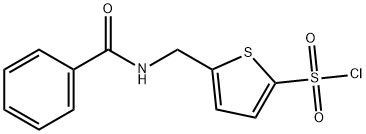 5-ó(苯甲酰胺)甲基]噻酚-2-磺酰氯 结构式