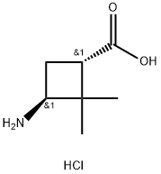 trans-3-Amino-2,2-dimethylcyclobutane-carboxylic acid hydrochloride 结构式