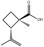 Cyclobutanecarboxylic acid, 1-methyl-2-(1-methylethenyl)-, (1R-trans)- (9CI) 结构式