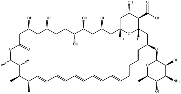 两性霉素B 结构式