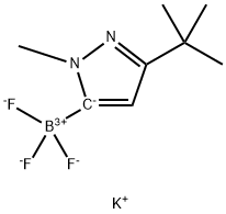 Potassium (3-(tert-butyl)-1-methyl-1H-pyrazol-5-yl)trifluoroborate 结构式