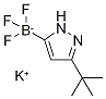 Potassium (3-(tert-butyl)-1H-pyrazol-5-yl)trifluoroborate 结构式