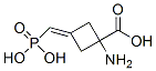 1-amino-3-(phosphonomethylene)cyclobutane-1-carboxylic acid 结构式