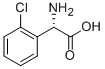(S)-2-氯苯甘氨酸 结构式