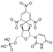 2',3'-O-(2,4,6--trinitrocyclohexadienylidene)uridine 5'-monophosphate 结构式