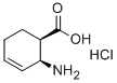顺式-2-氨基-3-环己烯-1-羧酸 盐酸盐 结构式