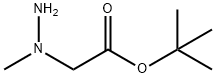 N-氨基-N-甲基甘氨酸叔丁酯 结构式
