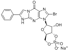 8-BR-PET-CGMP SODIUM SALT