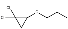 1-(2,2-dichlorocyclopropyl)oxy-2-methyl-propane 结构式