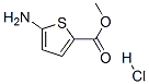 5-氨基-噻吩-2-甲酸甲酯(HCL) 结构式