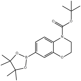 7-(4,4,5,5-四甲基-1,3,2-二氧硼杂环戊烷-2-基)-2H-苯并[B][1,4]恶嗪-4(3H)-羧酸叔丁酯 结构式