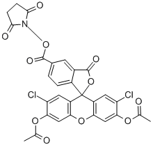 5(6)-CARBOXY-2'',7''-DICHLOROFLUORESCEINDIACETATEN-SUCCINIMIDYLESTER