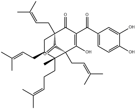 GUTTIFERONE A