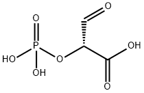 D-tartronic semialdehyde phosphate 结构式