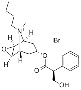 N-ButylscopolammoniumBromide