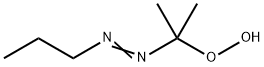2-PROPYLAZO-2-PROPYLHYDROPEROXIDE 结构式