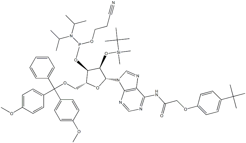5'-O-(4,4-二甲氧基三苯甲基)-2'-O-[(叔丁基)二甲基硅基]-N-[[4-(叔丁基)苯氧基]乙酰基]腺苷-3'-(2-氰基乙基-N,N-二异丙基)亚磷酰胺 结构式