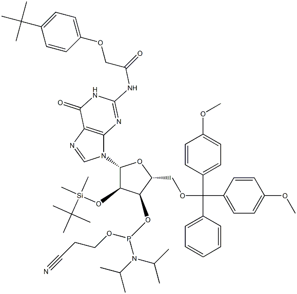 5'-O-(4,4-二甲氧基三苯甲基)-2'-O-[(叔丁基)二甲基硅基]-N-[[4-(叔丁基)苯氧基]乙酰基]鸟苷-3'-(2-氰基乙基-N,N-二异丙基)亚磷酰胺 结构式