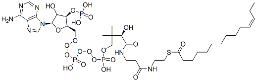 S-[2-[3-[[(2R)-4-[[[(2R,3R,5R)-5-(6-aminopurin-9-yl)-4-hydroxy-3-phosphonooxyoxolan-2-yl]methoxy-hydroxyphosphoryl]oxy-hydroxyphosphoryl]oxy-2-hydroxy-3,3-dimethylbutanoyl]amino]propanoylamino]ethyl] (Z)-tetradec-11-enethioate 结构式