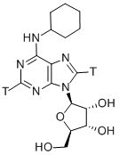 N 6-CYCLOHEXYLADENOSINE-[2,8-3H] 结构式