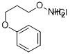 O-(3-Phenoxy-propyl)-hydroxylamine hydrochloride 结构式