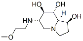 1,7,8-Indolizinetriol, octahydro-6-(2-methoxyethyl)amino-, 1S-(1.alpha.,6.beta.,7.alpha.,8.beta.,8a.beta.)- 结构式