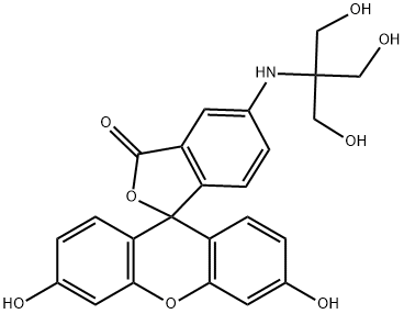 5-tris(hydroxymethyl)methylamino-2-(3,6-dihydroxy-9H-xanthen-10-yl)benzoate 结构式