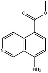 5-Isoquinolinecarboxylicacid,8-amino-,methylester(9CI) 结构式