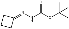 2-亚环丁基肼甲酸叔丁酯 结构式