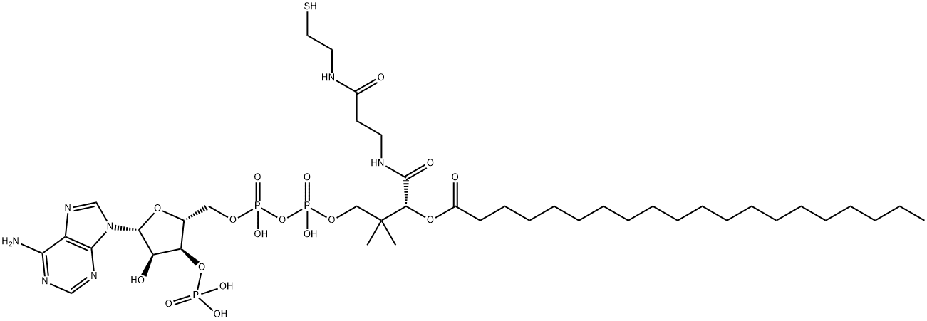 (C20:0) COENZYME A 结构式