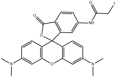 6-IodoacetaMidotetraMethyl  结构式