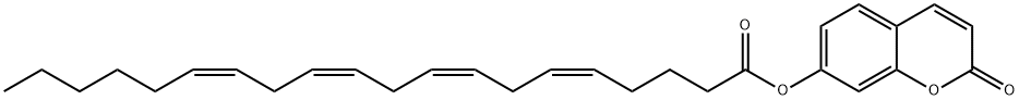 7-hydroxycoumarinylArachidonate