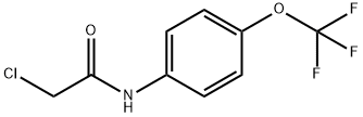 N-氯乙酰-4-(三氟甲氧基)苯胺 结构式