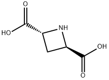 (2R,4R)-(+)-吖丁啶-2,4-二羧酸 结构式