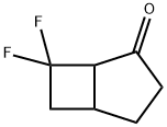 Bicyclo[3.2.0]heptan-2-one, 7,7-difluoro- (9CI) 结构式