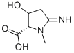 Proline, 3-hydroxy-5-imino-1-methyl- (9CI) 结构式