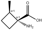 Cyclobutanecarboxylic acid, 1-amino-2-methyl-, trans- (9CI) 结构式