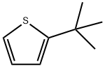 2-叔丁基噻吩 结构式