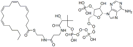S-[2-[3-[[(2R)-4-[[[(2R,3R,5R)-5-(6-aminopurin-9-yl)-4-hydroxy-3-phosphonooxyoxolan-2-yl]methoxy-hydroxyphosphoryl]oxy-hydroxyphosphoryl]oxy-2-hydroxy-3,3-dimethylbutanoyl]amino]propanoylamino]ethyl] (5Z,8Z,11Z,14Z)-icosa-5,8,11,14-tetraenethioate 结构式