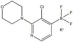 2-吗啉-3-氯-4-氟硼酸钾吡啶 结构式