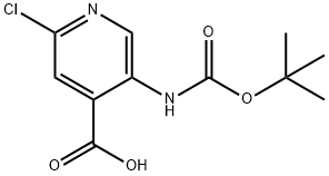 5-BOC-氨基-2-氯吡啶-4-甲酸 结构式